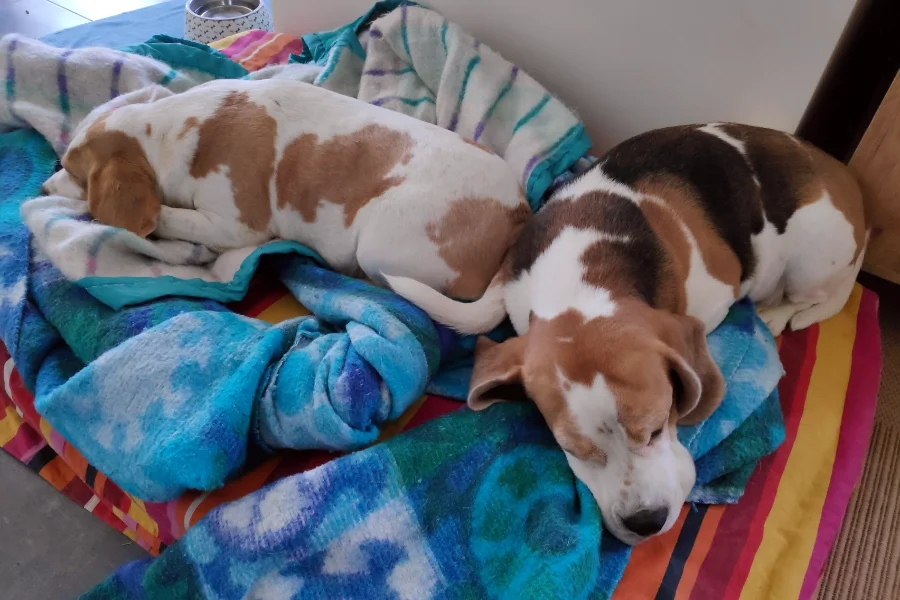 Un boost pour votre sante mentale