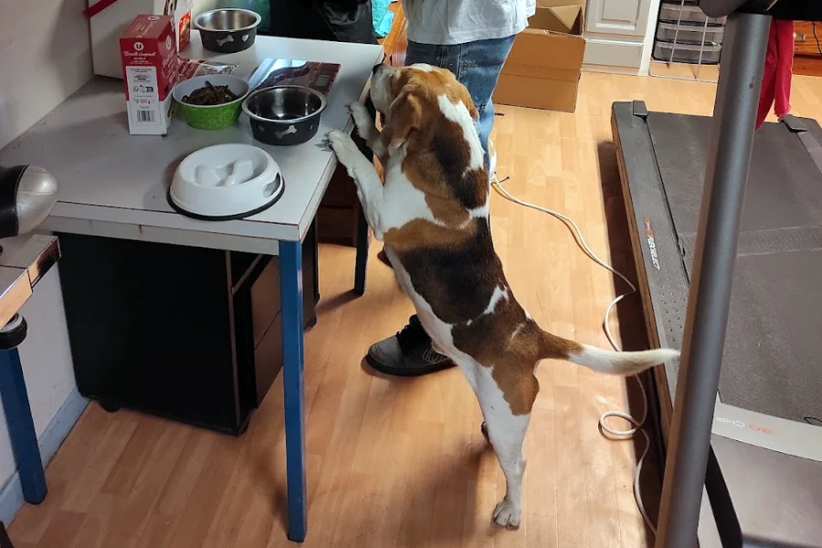 Une école de la responsabilité