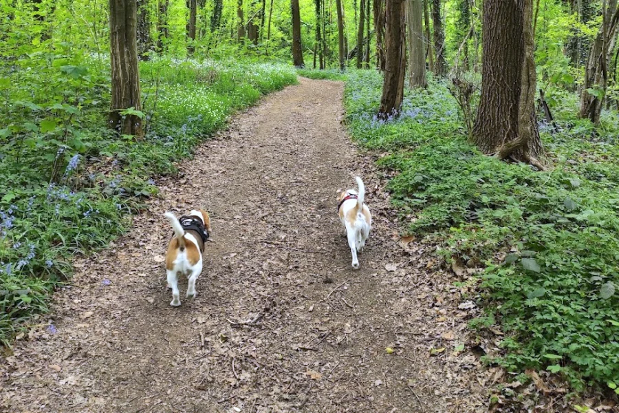 Une meilleure condition physique